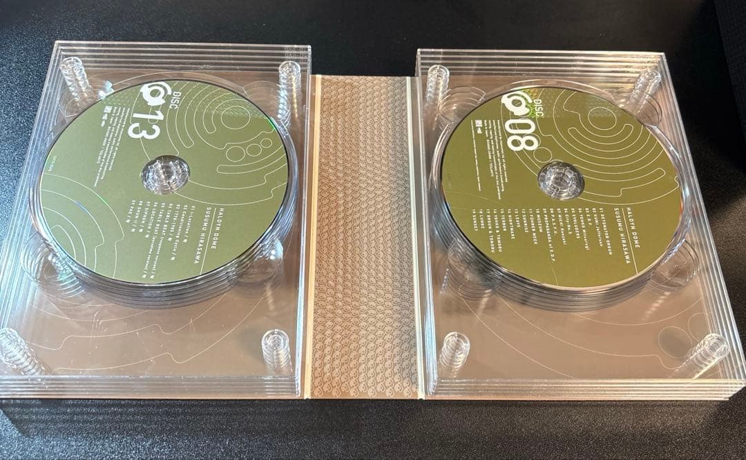 平沢進　20世紀BOX HALDYN DOME