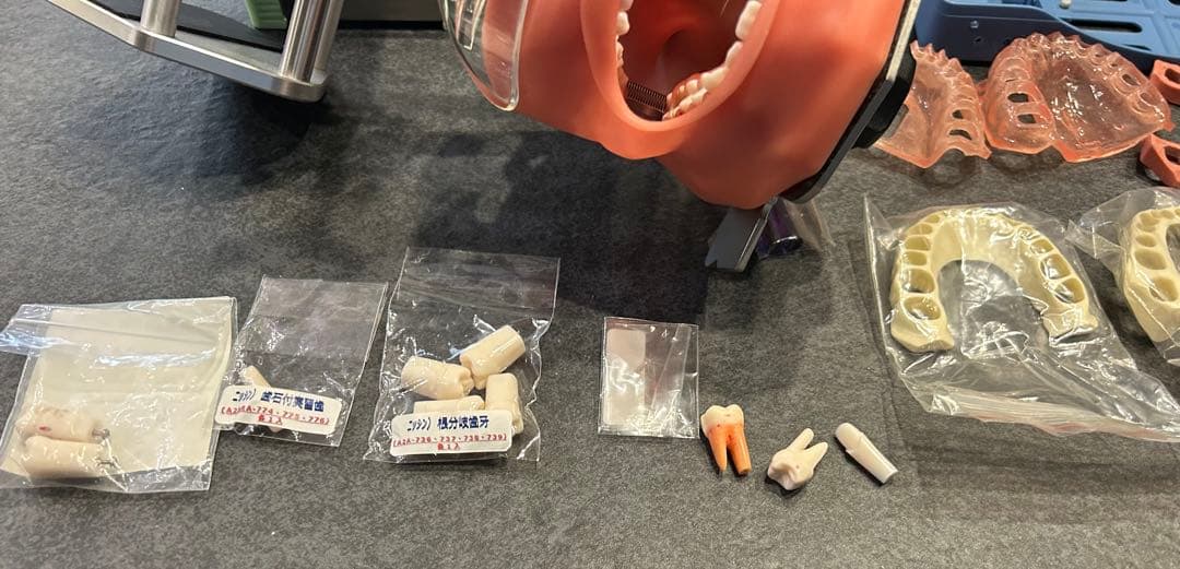 歯科衛生士　歯科用　ニッシン　シンプルマネキン