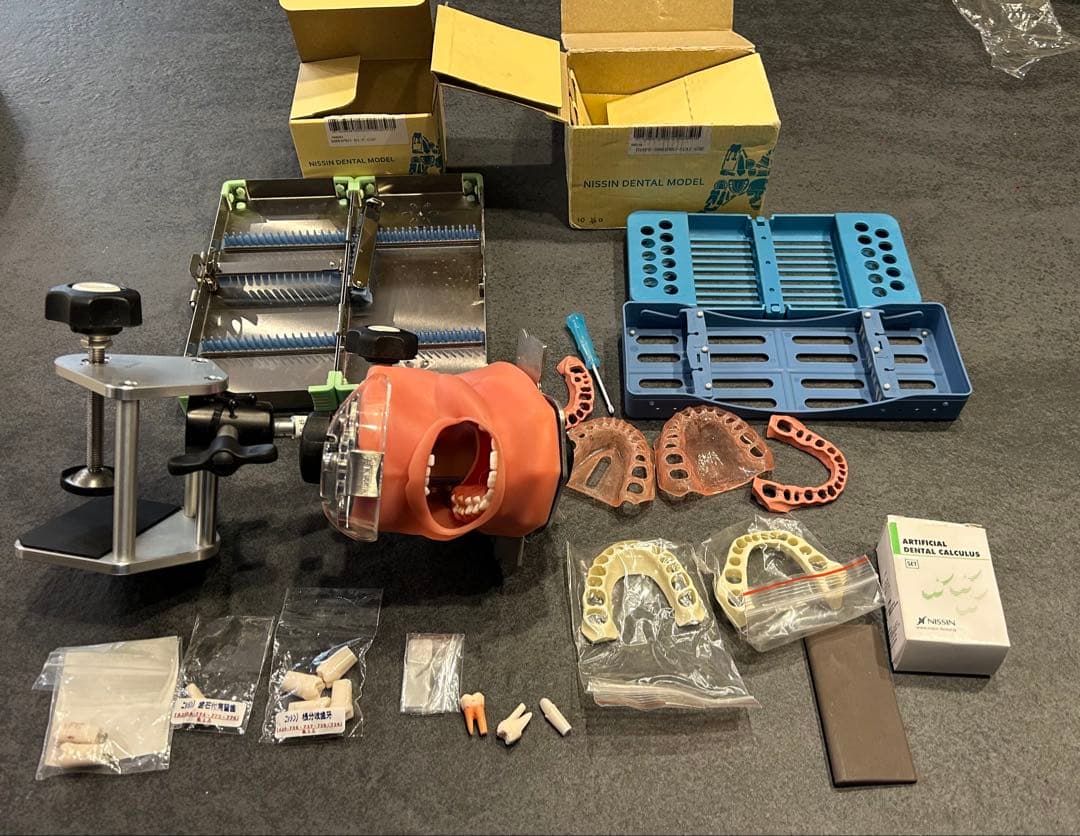 歯科衛生士　歯科用　ニッシン　シンプルマネキン