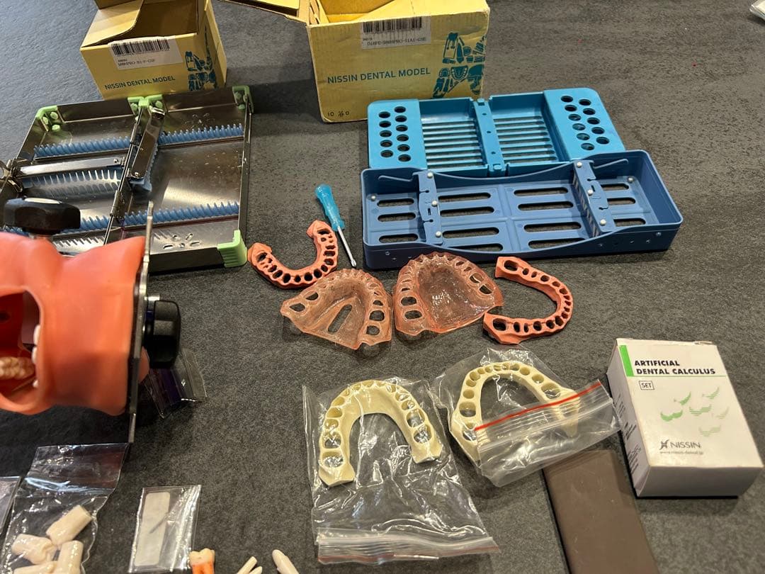 歯科衛生士　歯科用　ニッシン　シンプルマネキン