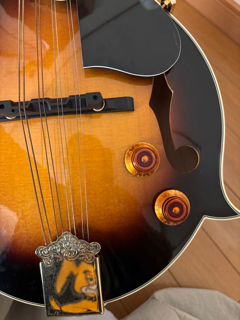 Stafford&Co. エレキ フラットマンドリン