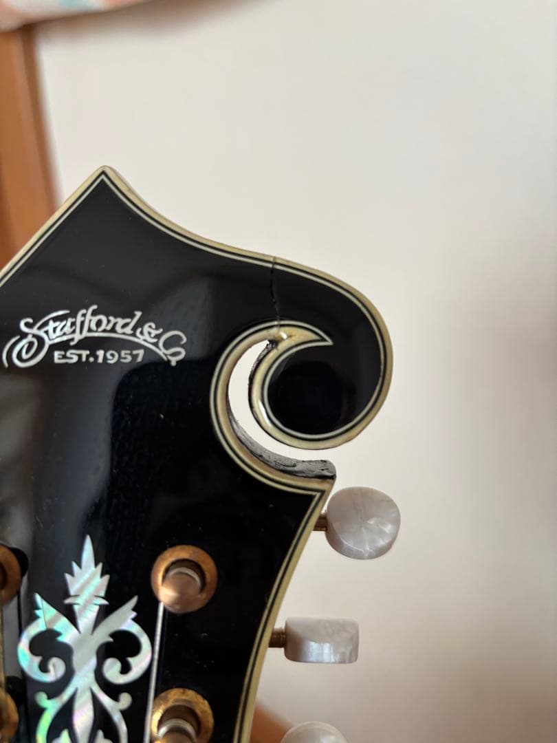 Stafford&Co. エレキ フラットマンドリン