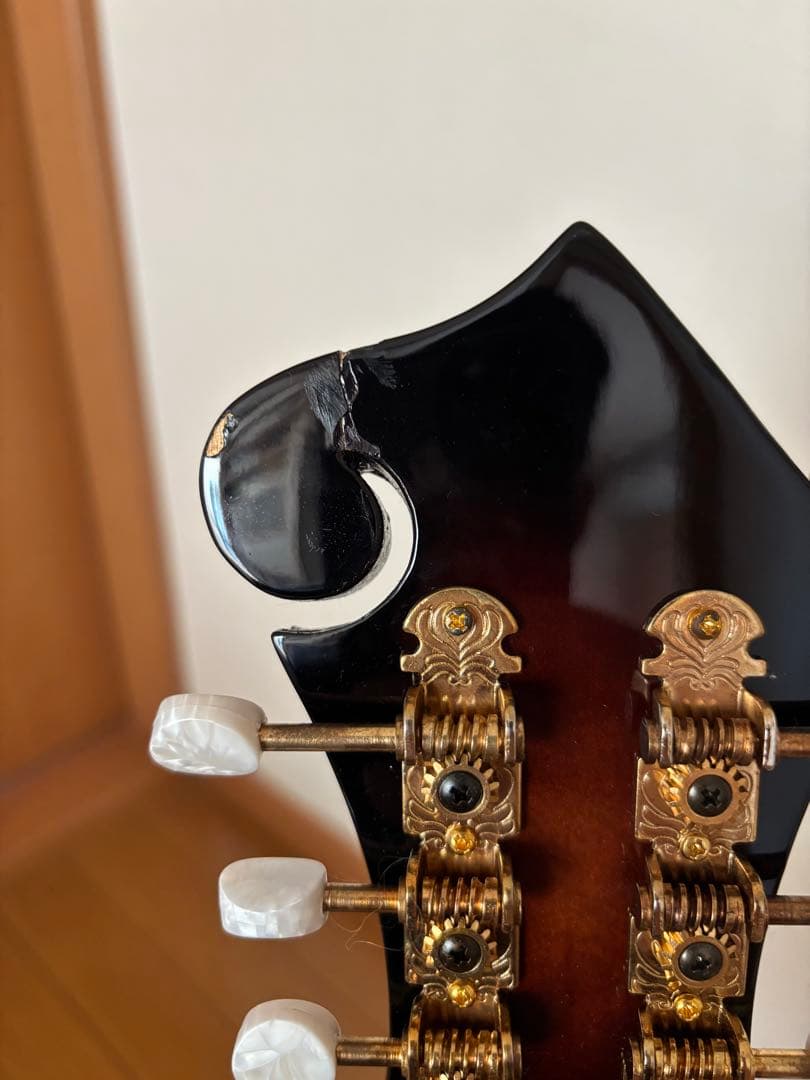 Stafford&Co. エレキ フラットマンドリン