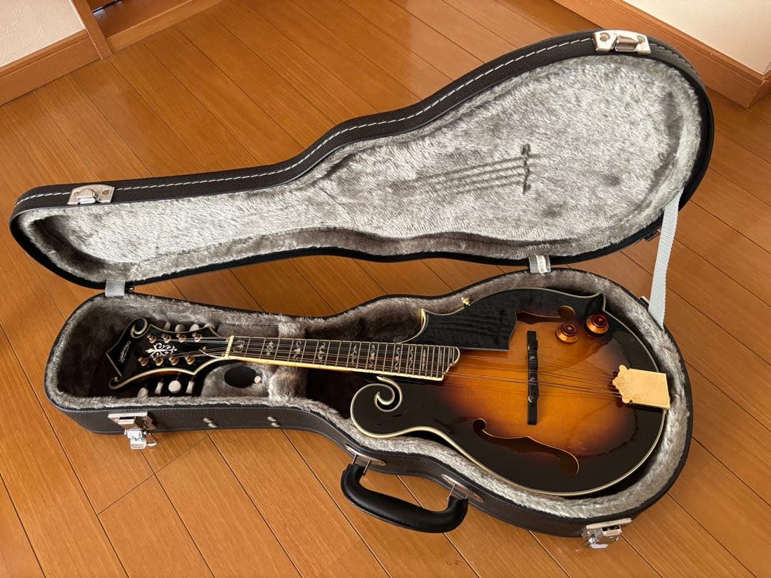 Stafford&Co. エレキ フラットマンドリン