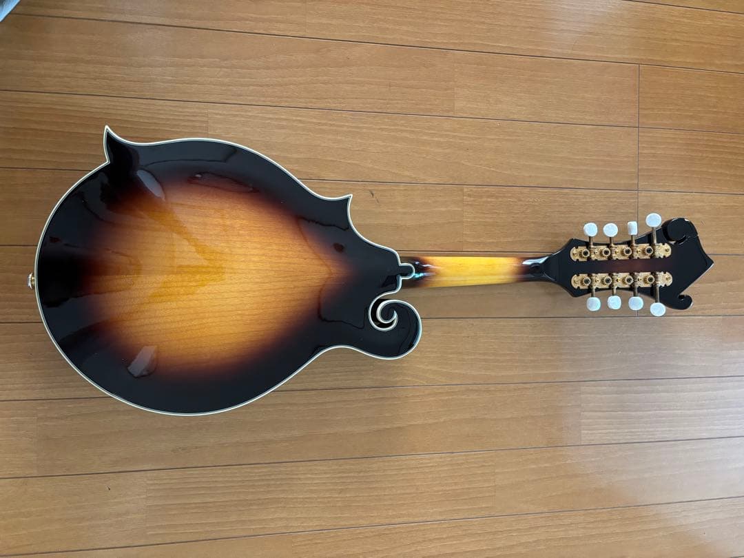 Stafford&Co. エレキ フラットマンドリン