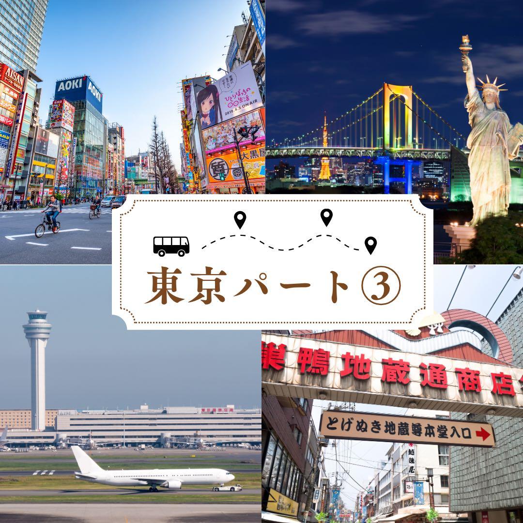 くまたんページです