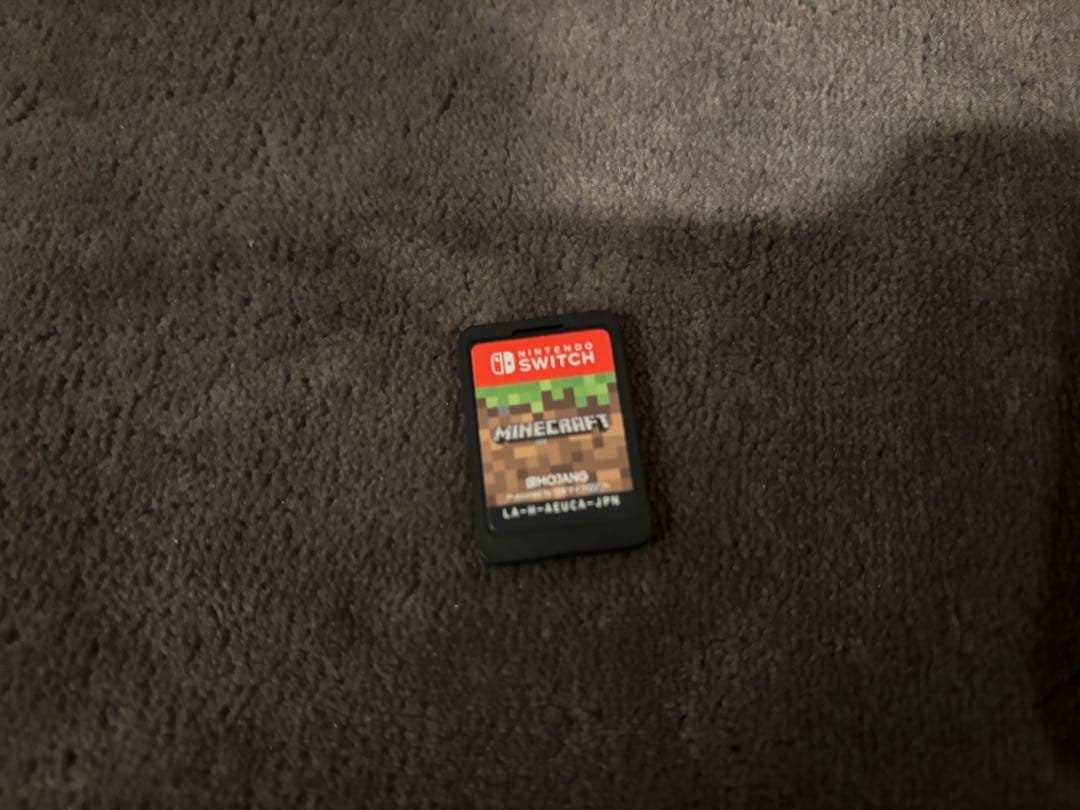 【専用ケース&Minecraft付】 Nintendo Switch Lite