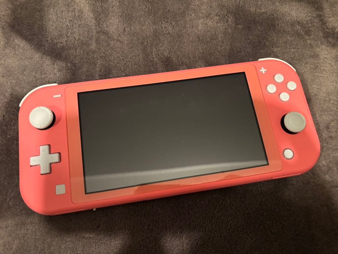 【専用ケース&Minecraft付】 Nintendo Switch Lite