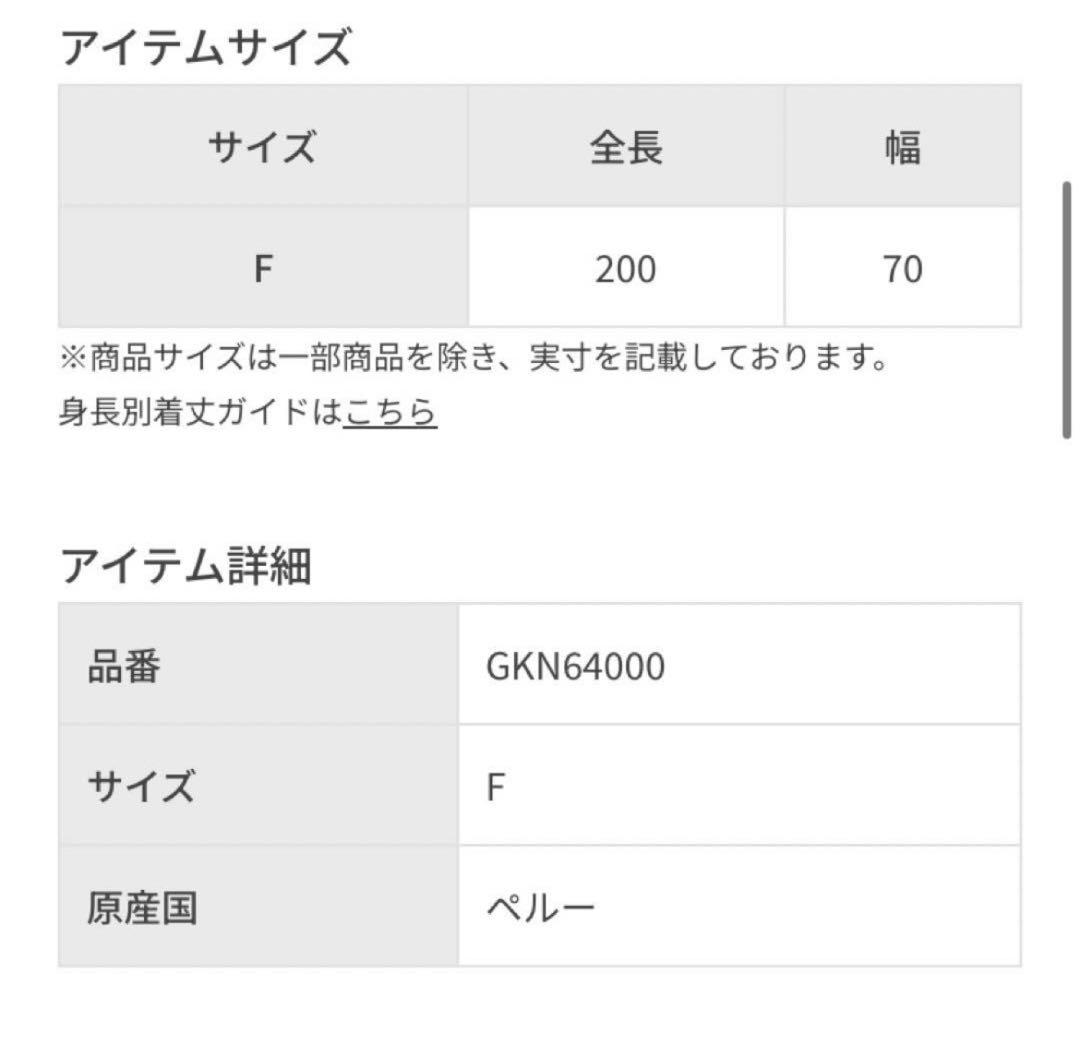 ADAM ET ROPE × THE INOUE BROTHERS ストール