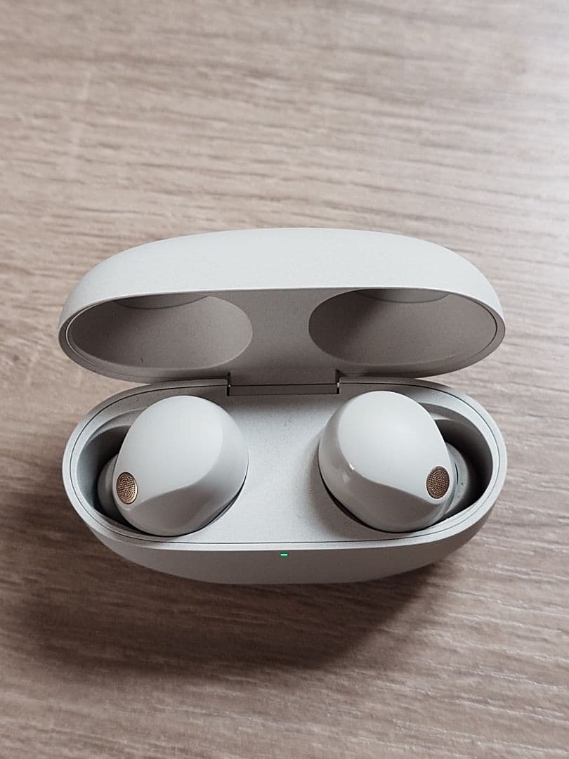 SONY ワイヤレス ノイズキャンセリングイヤホン WF-1000XM5