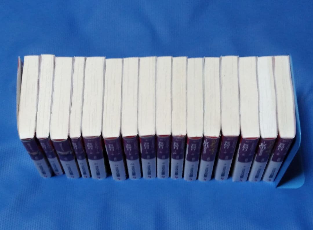 薬屋のひとりごと 原作小説 全巻セット