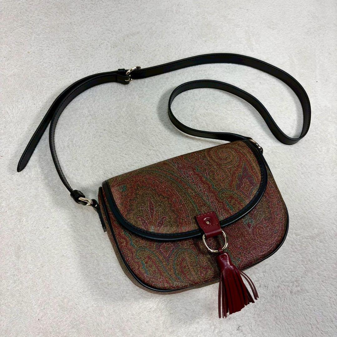 【未使用級✨】エトロ ショルダー　タッセル ペイズリー柄 レザー PVC ミニ