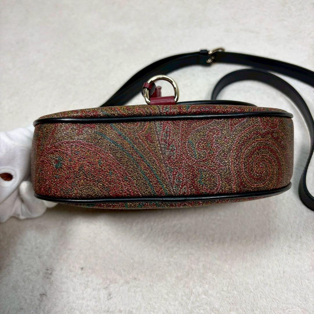 【未使用級✨】エトロ ショルダー　タッセル ペイズリー柄 レザー PVC ミニ