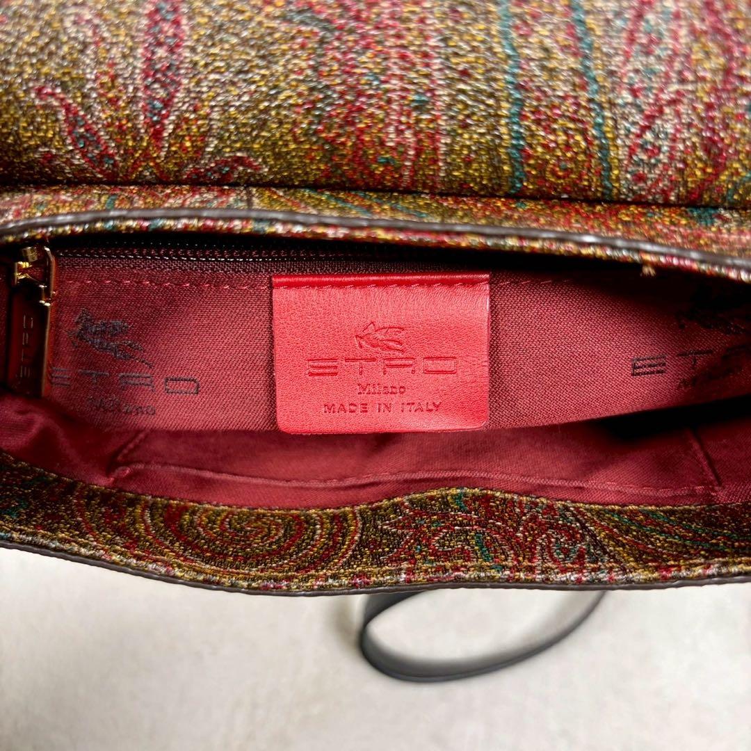 【未使用級✨】エトロ ショルダー　タッセル ペイズリー柄 レザー PVC ミニ