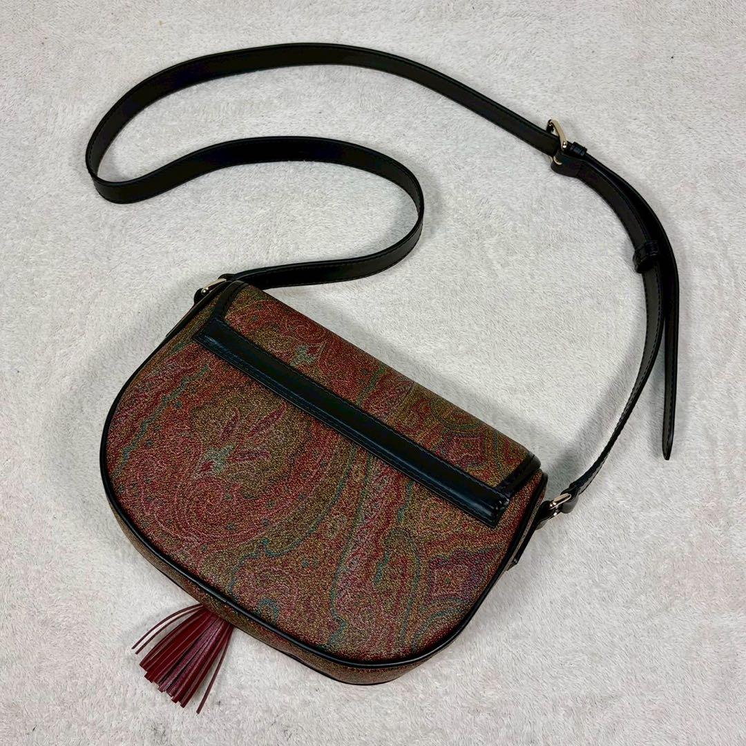 【未使用級✨】エトロ ショルダー　タッセル ペイズリー柄 レザー PVC ミニ