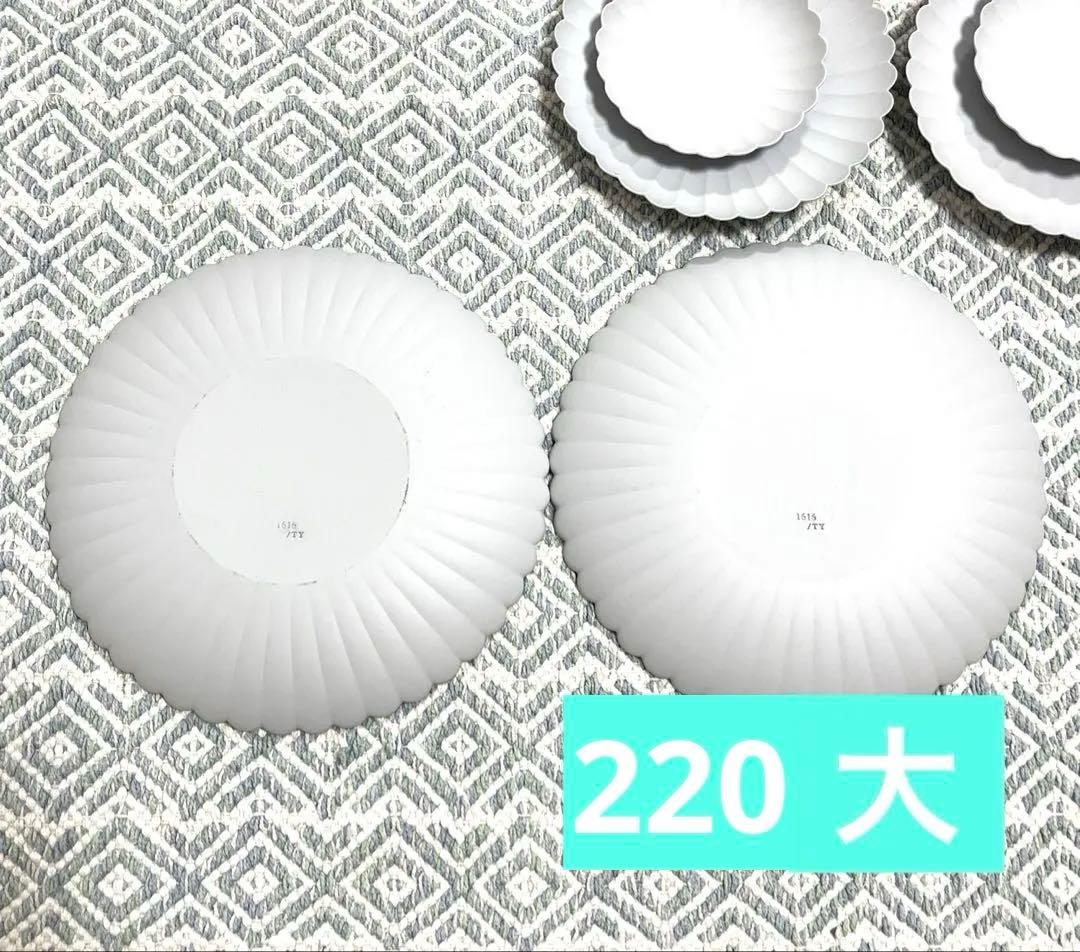 arita1616 パレスプレート 6点 まとめ