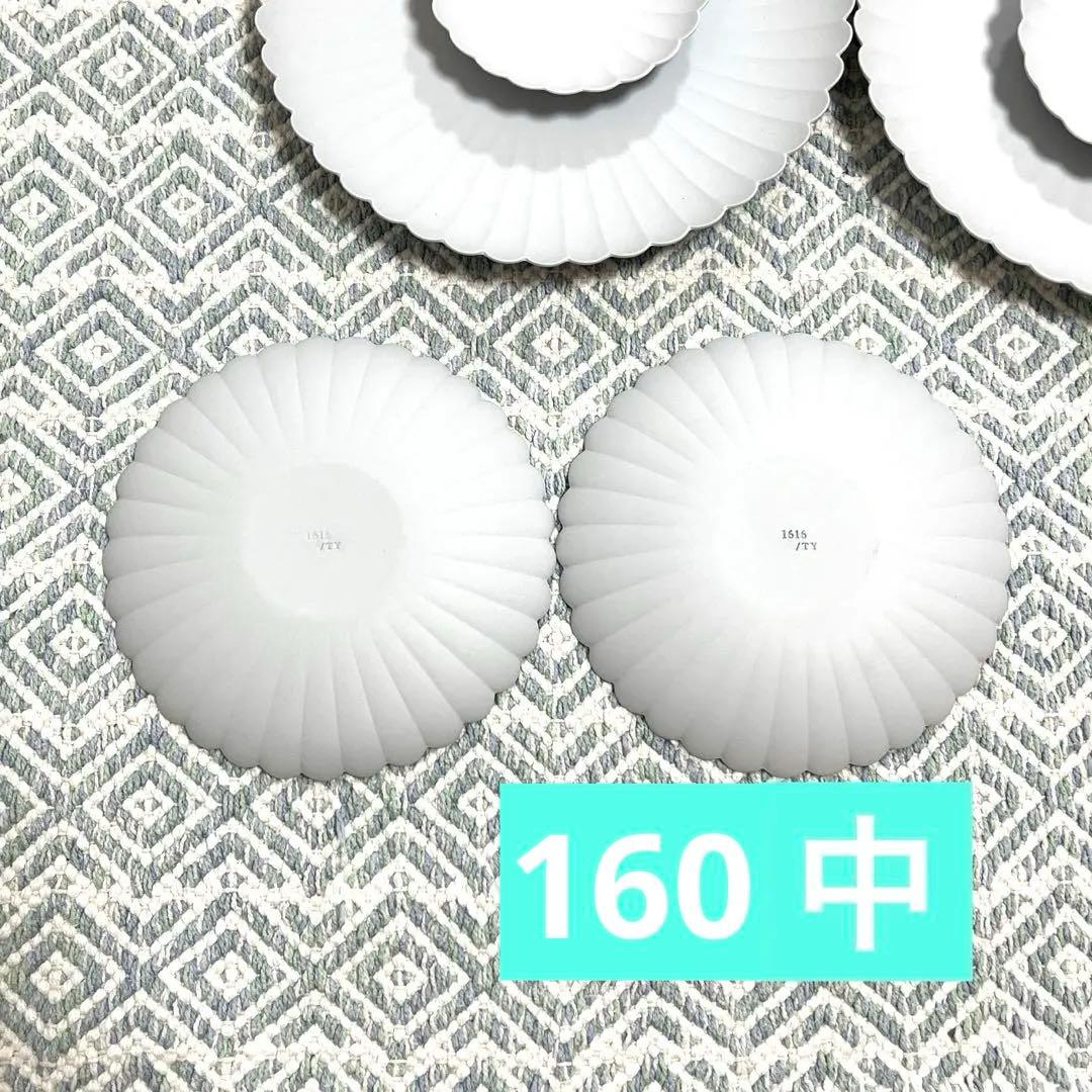 arita1616 パレスプレート 6点 まとめ