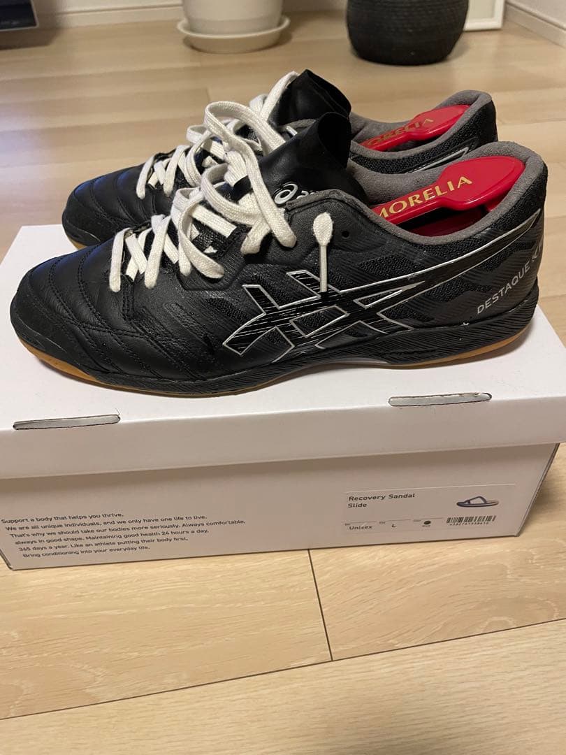 アシックスデスタッキK FF