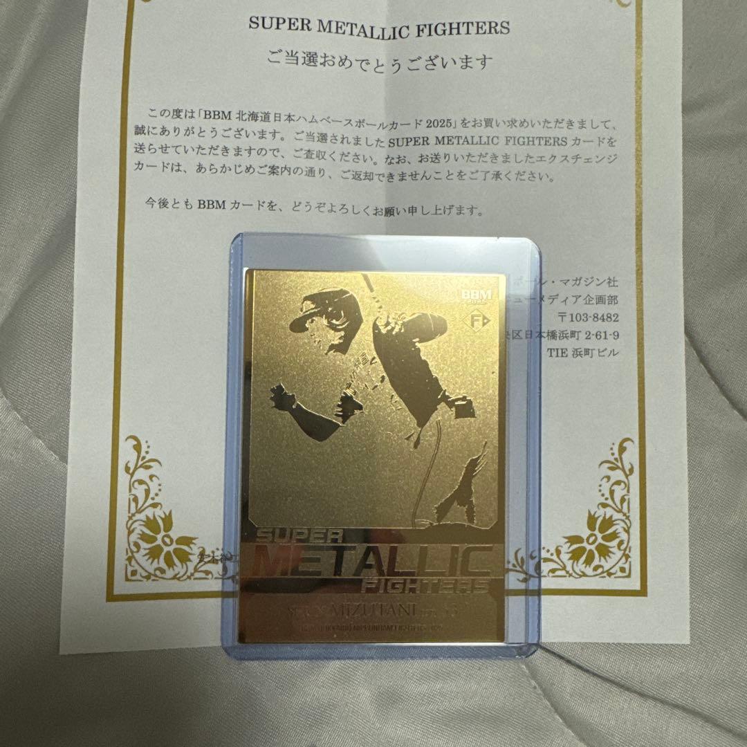 匿名即日発送　水谷瞬　SUPER LLIC FIGHTERS 新品