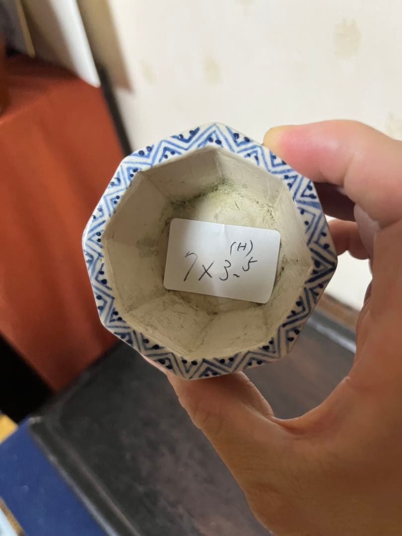 489 盆栽　盆栽鉢　植木鉢　和鉢　不明