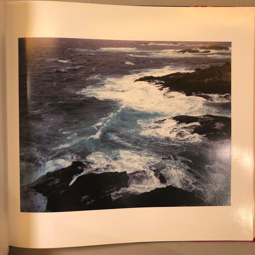 高橋恭司 The mad broom of life