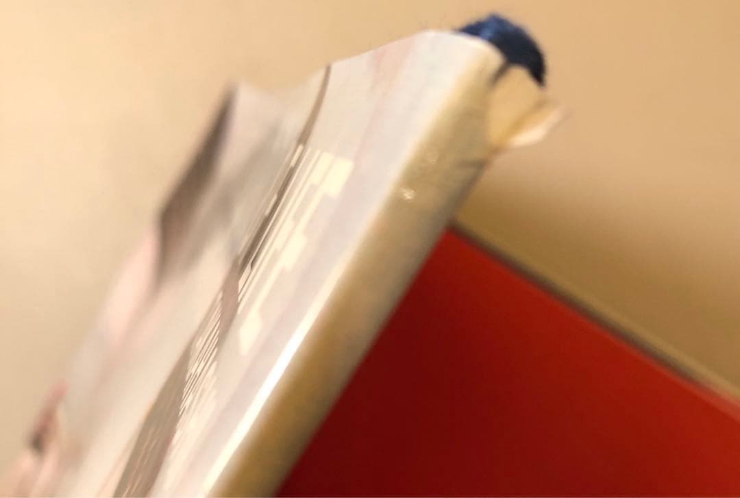 高橋恭司 The mad broom of life