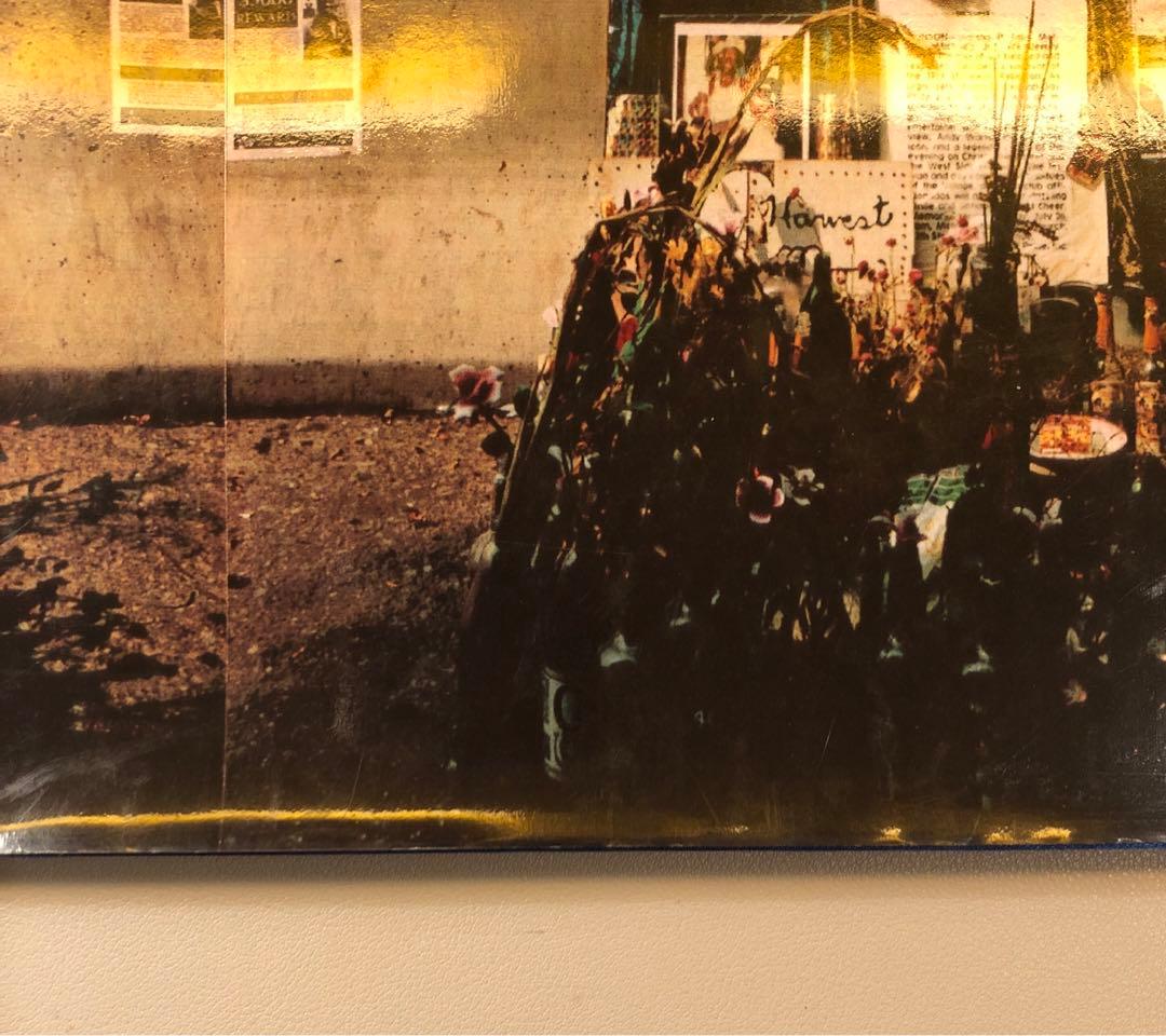 高橋恭司 The mad broom of life