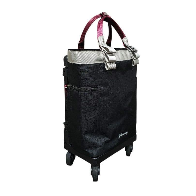 SWANY スワニー イナ 14L ソフトキャリーバッグ ショッピングカート
