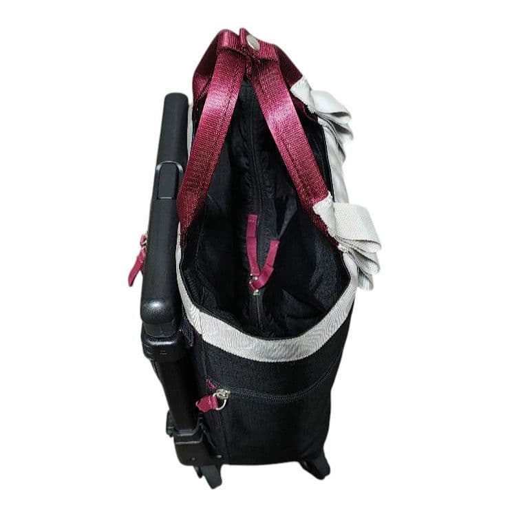 SWANY スワニー イナ 14L ソフトキャリーバッグ ショッピングカート