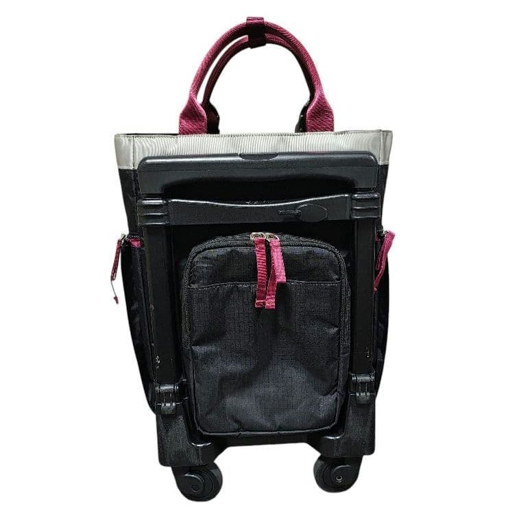 SWANY スワニー イナ 14L ソフトキャリーバッグ ショッピングカート