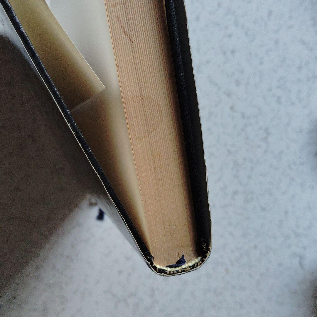 大学への微分・積分　研文書院　中田義元・根岸世雄・長岡亮介・藤田宏　微分方程式