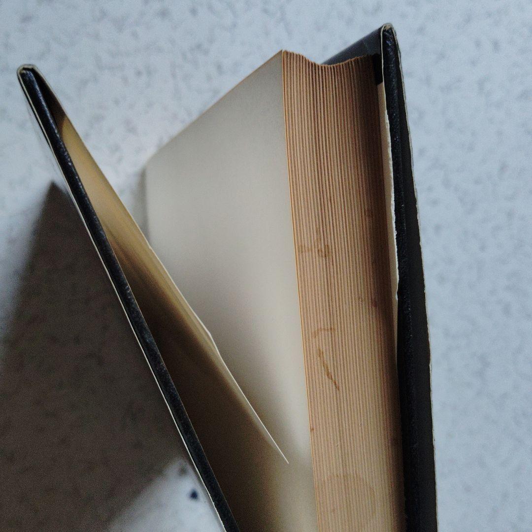 大学への微分・積分　研文書院　中田義元・根岸世雄・長岡亮介・藤田宏　微分方程式