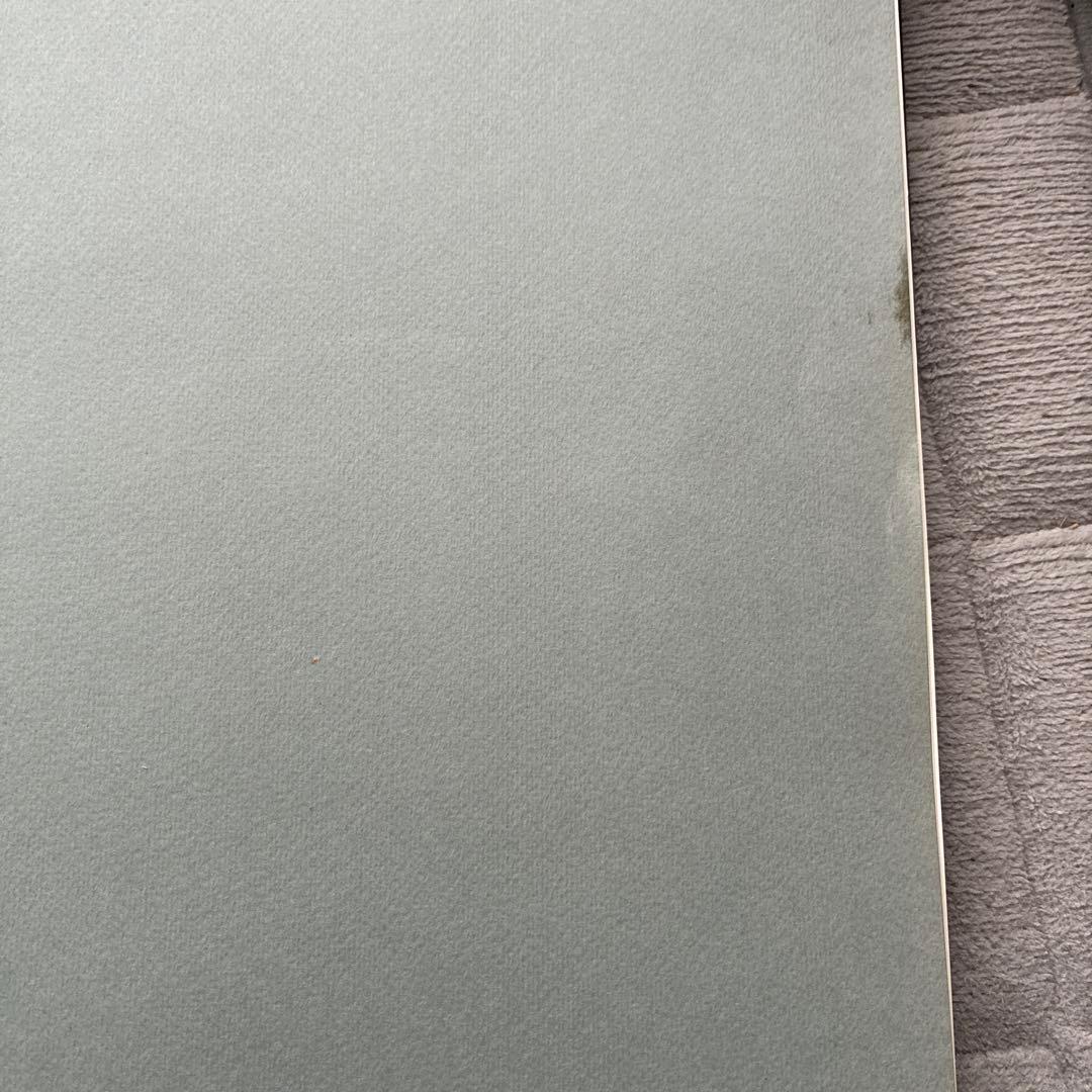 ヘルムート・ニュートン World Without Men