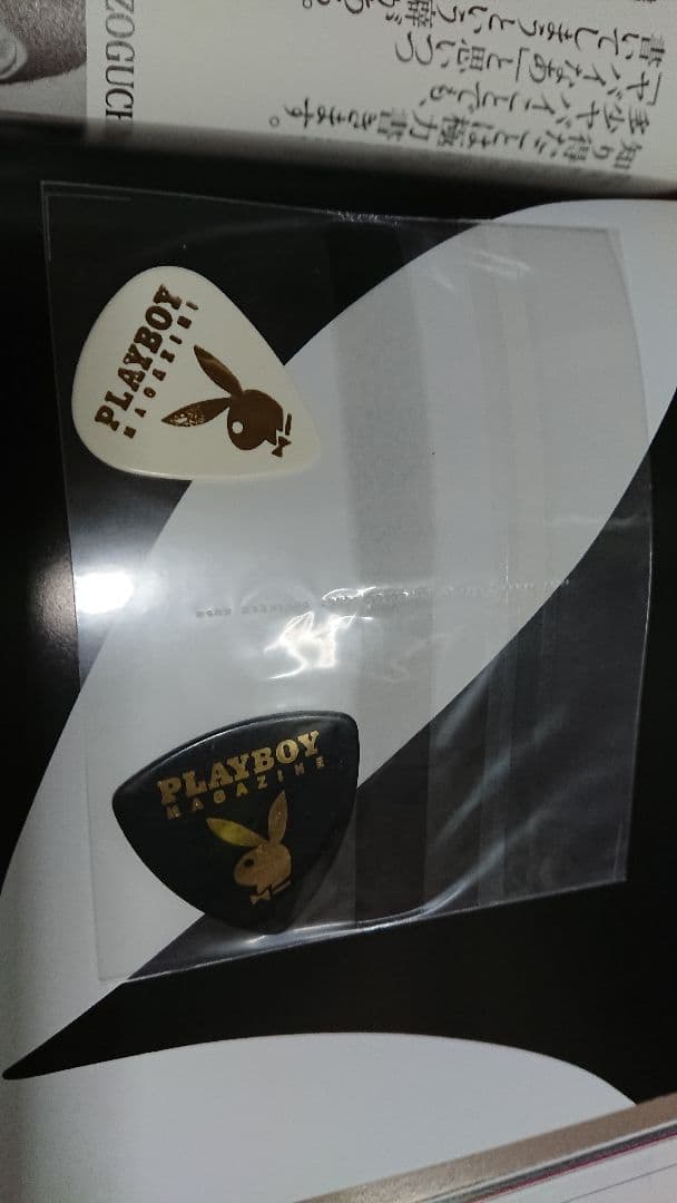 playboy 3大ギタリストを探せ！ピック付き