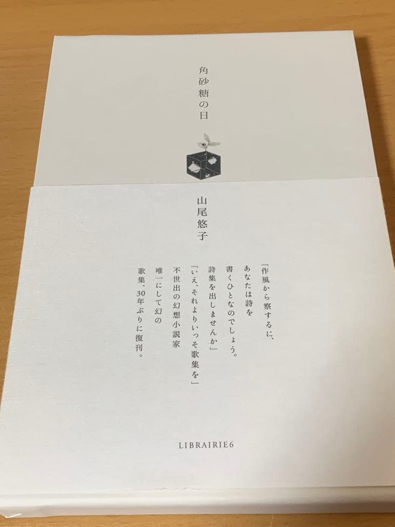 角砂糖の日 山尾悠子