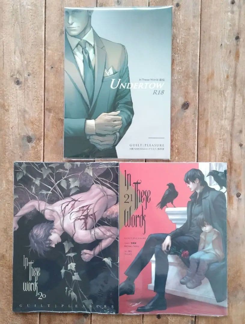 【日本未発売】２冊「In These Words」続編 chapter20,21