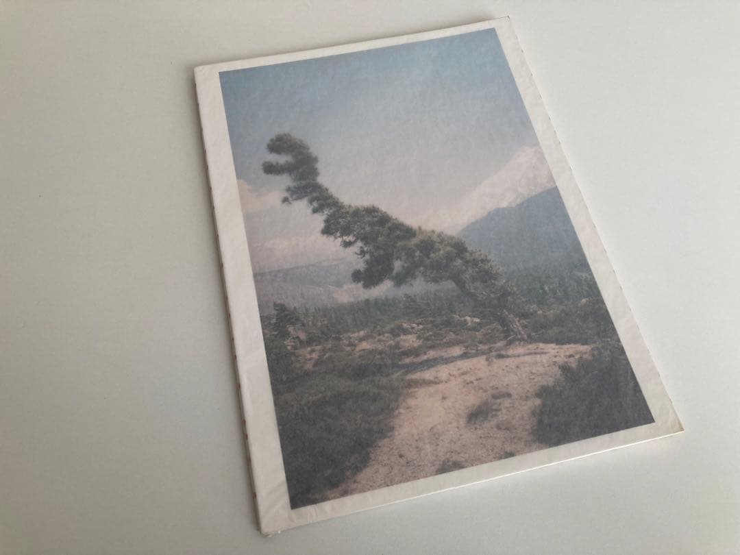 【サイン入り】Vincent Delbrouck