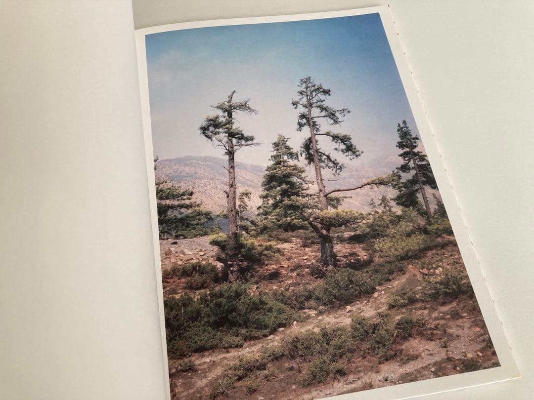 【サイン入り】Vincent Delbrouck