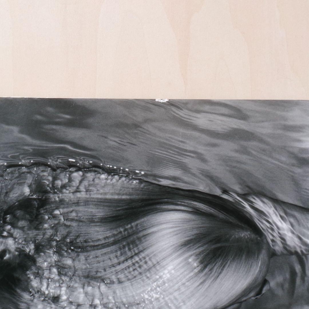 アート・デザイン・音楽 MERMAIDS | MICHAEL DWECK