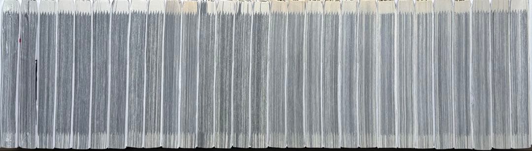 【良品・初版多数】 ★パラレルパラダイス 1〜29巻 全巻セット★