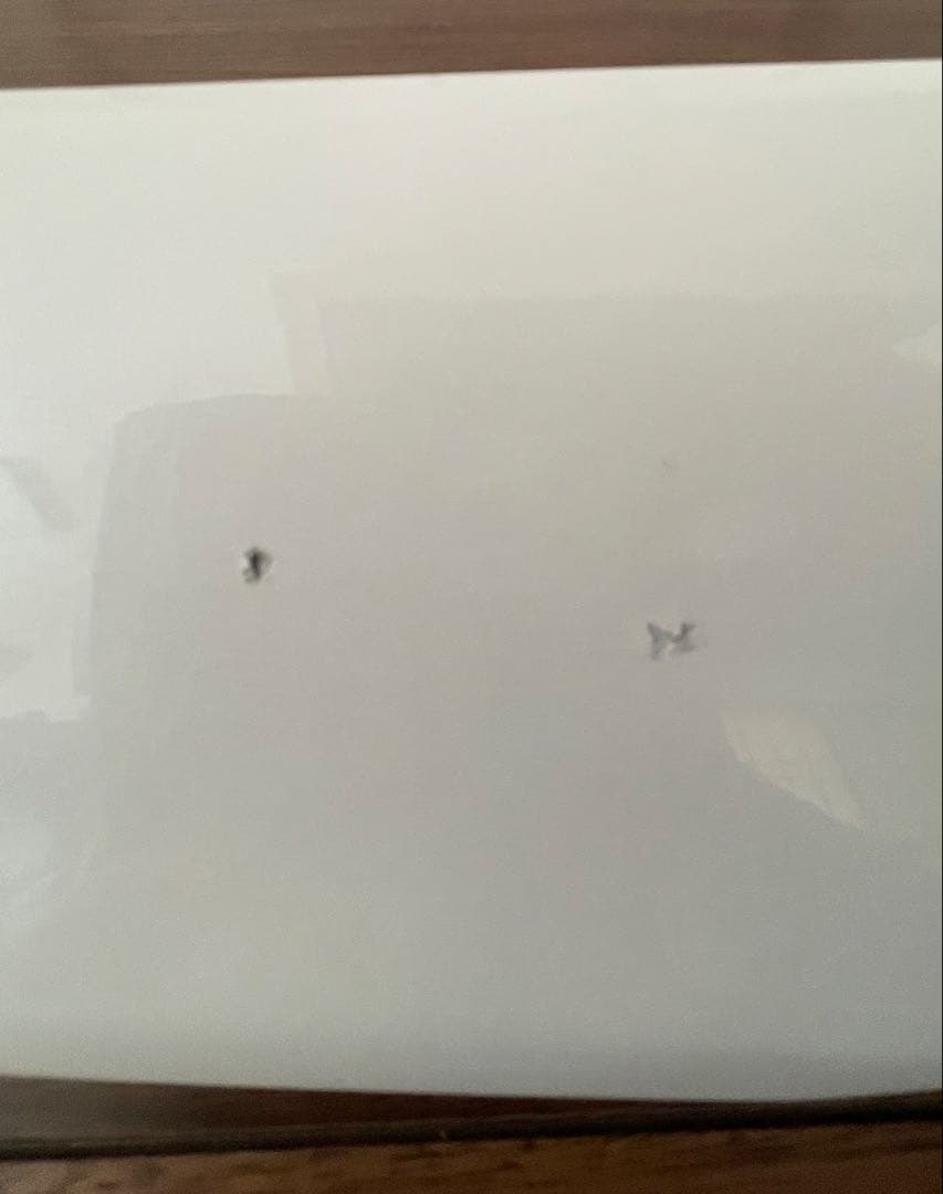 【後期】30系 アルファード 純正 フードトップモール 070 パール