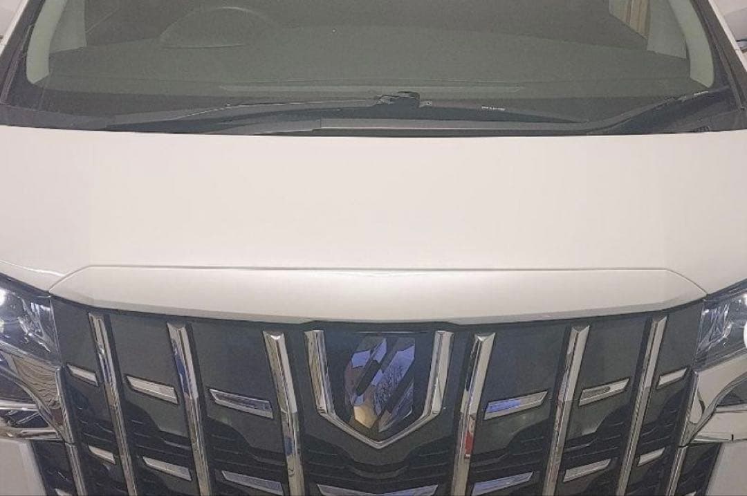 【後期】30系 アルファード 純正 フードトップモール 070 パール