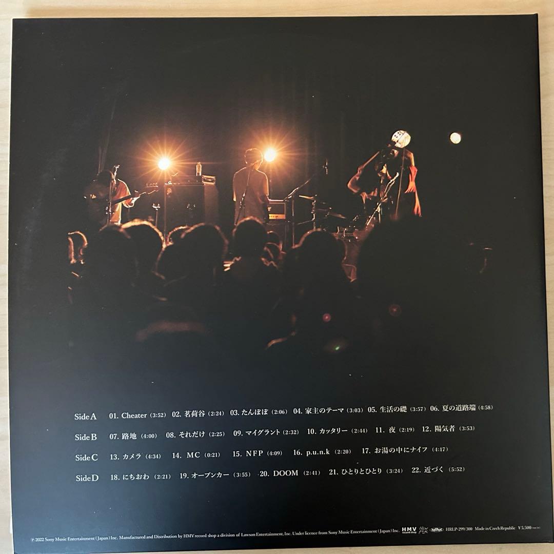 家主 INTO THE DOOM 2枚組レコード