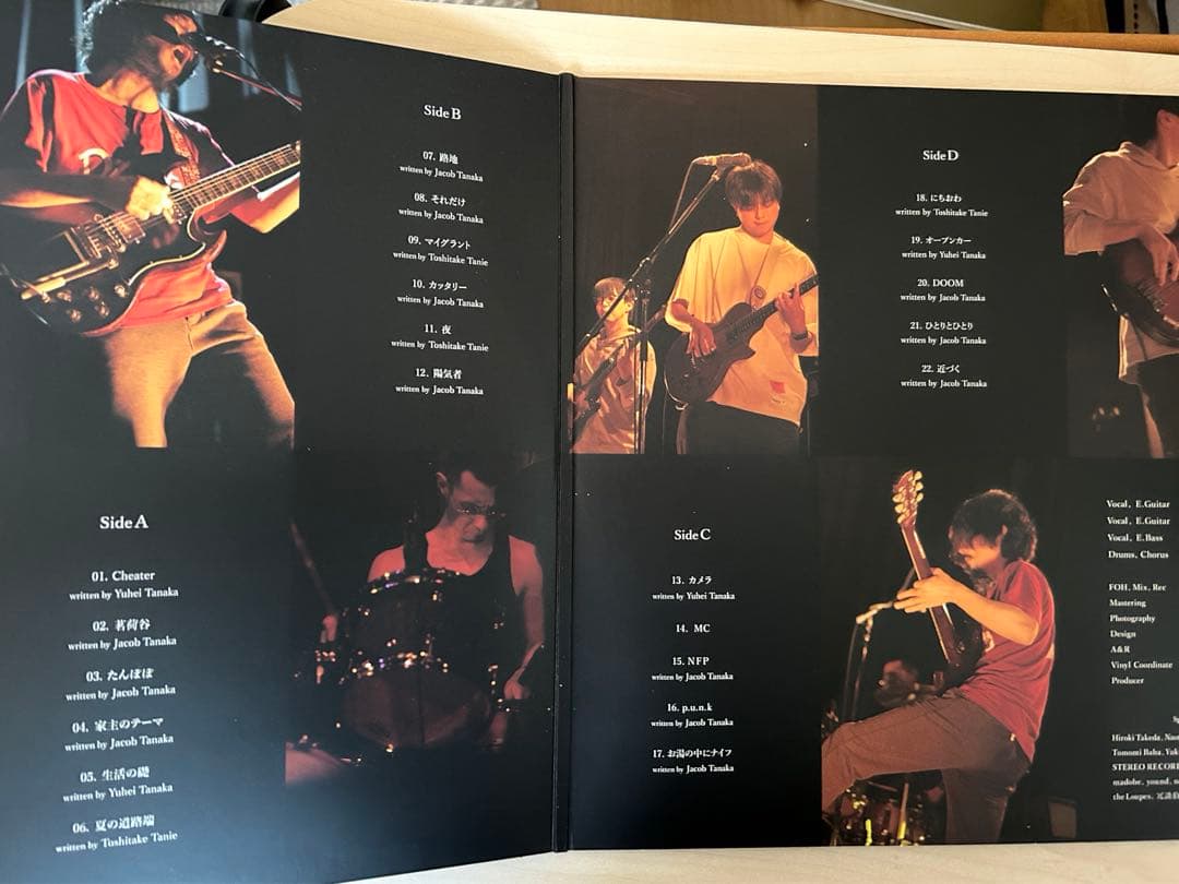 家主 INTO THE DOOM 2枚組レコード