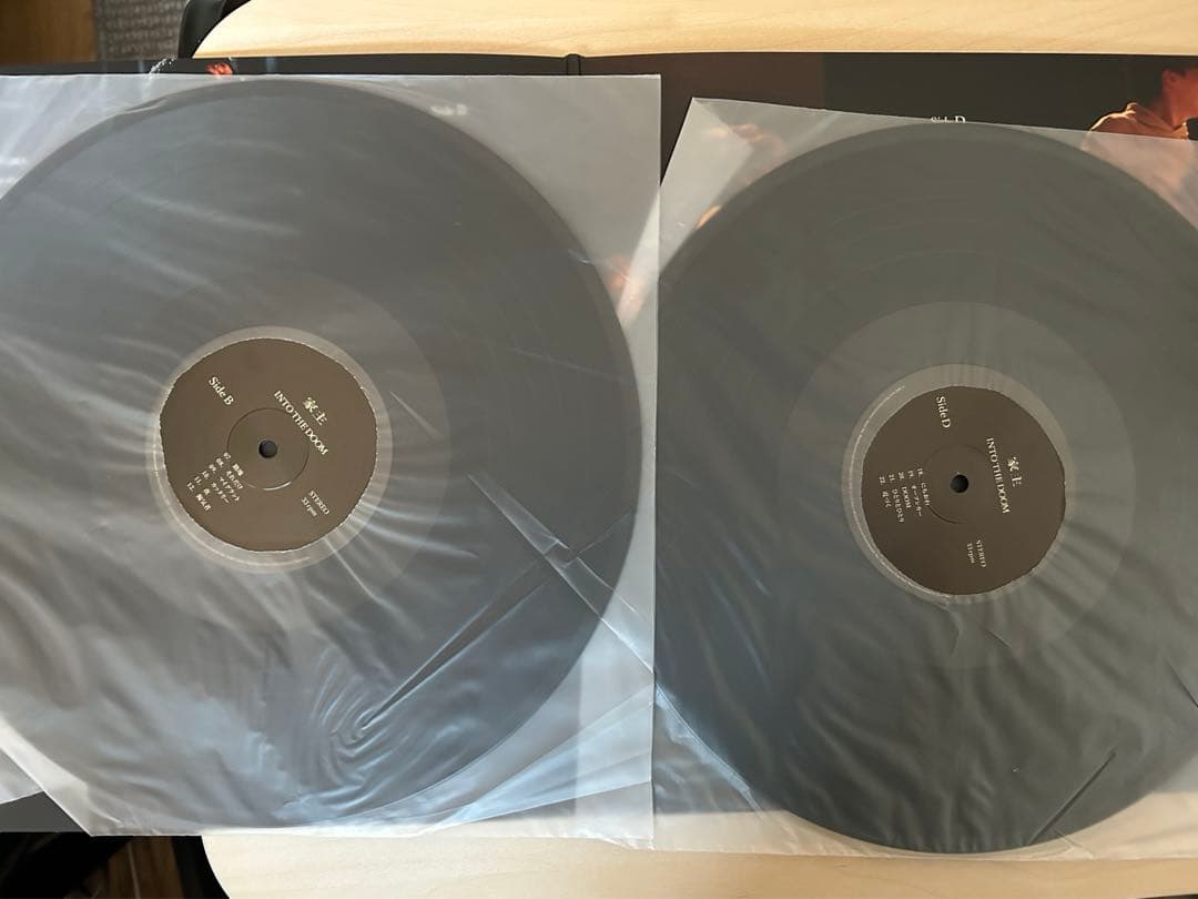 家主 INTO THE DOOM 2枚組レコード