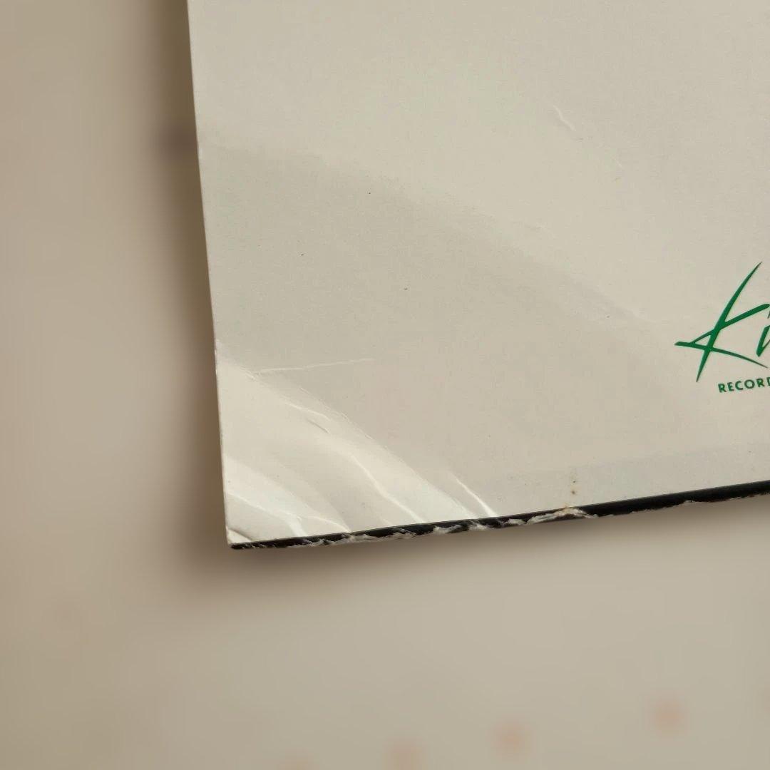 レコード　9枚セット　高中正義 　（１２インチ８枚　７インチ１枚）