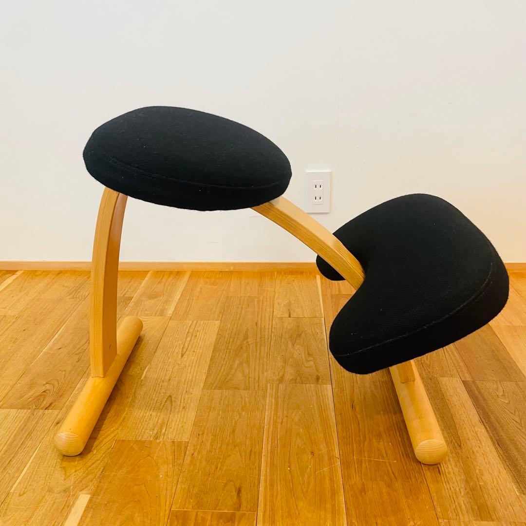 バランスチェア easy イージー リボ rybo バランスイージー サカモト