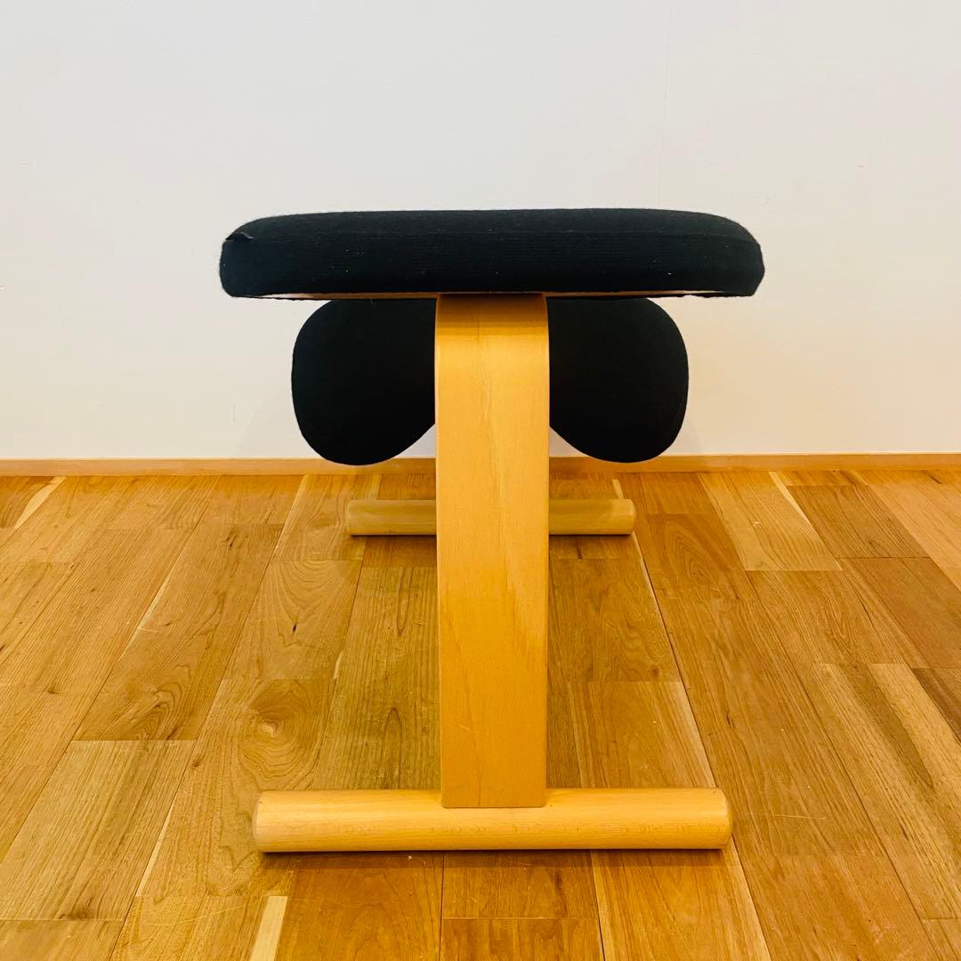 バランスチェア easy イージー リボ rybo バランスイージー サカモト