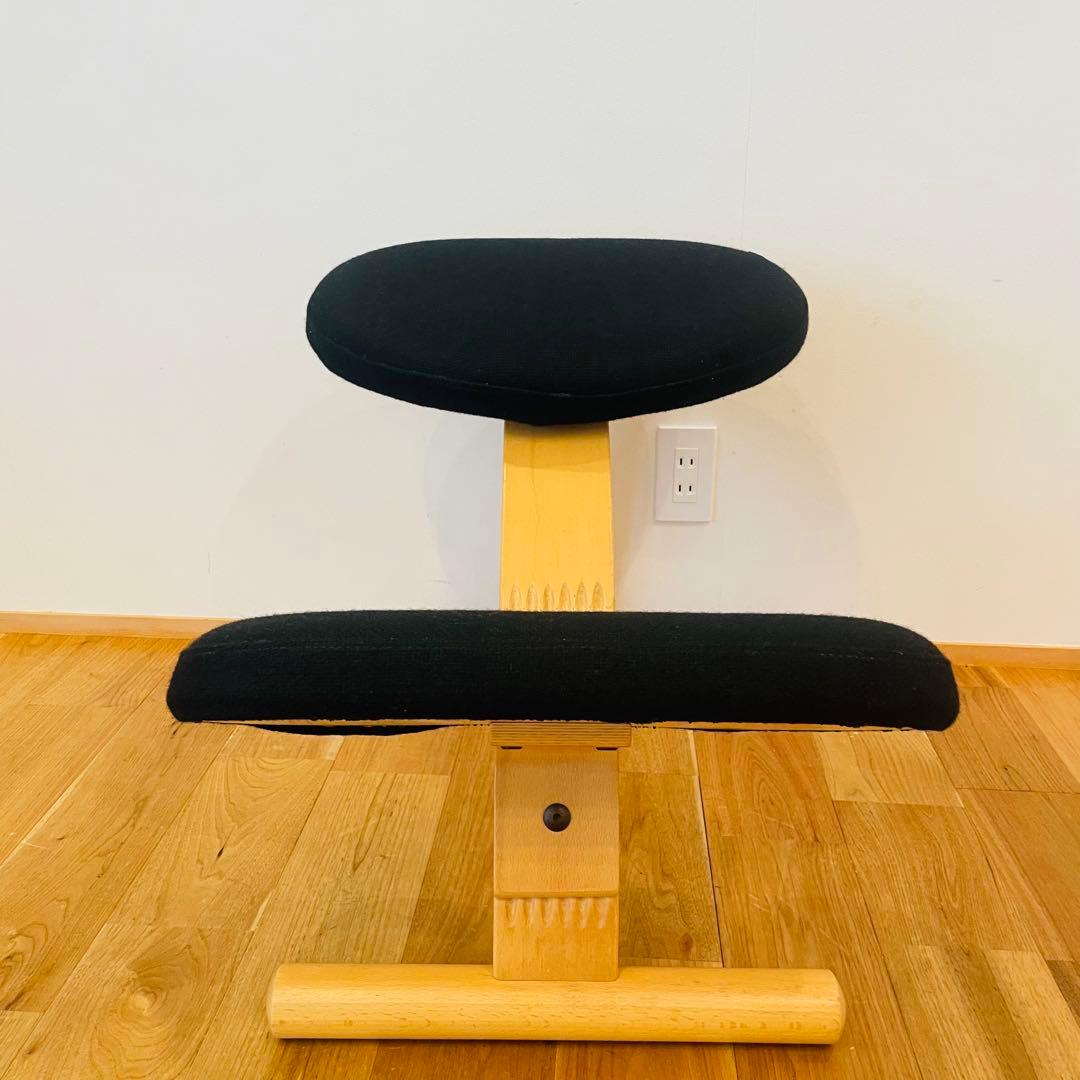 バランスチェア easy イージー リボ rybo バランスイージー サカモト