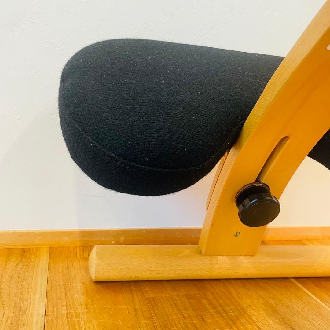 バランスチェア easy イージー リボ rybo バランスイージー サカモト